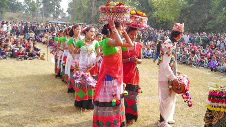 आज माघि पर्व,थारु समुदायले राष्ट्रिय पर्वका रुपमा मनाउँदै