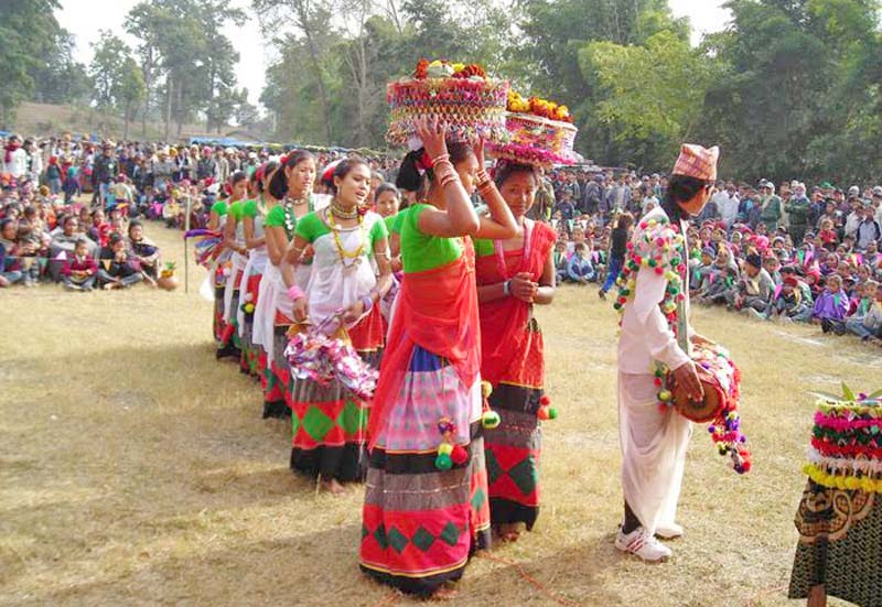 आज माघि पर्व,थारु समुदायले राष्ट्रिय पर्वका रुपमा मनाउँदै