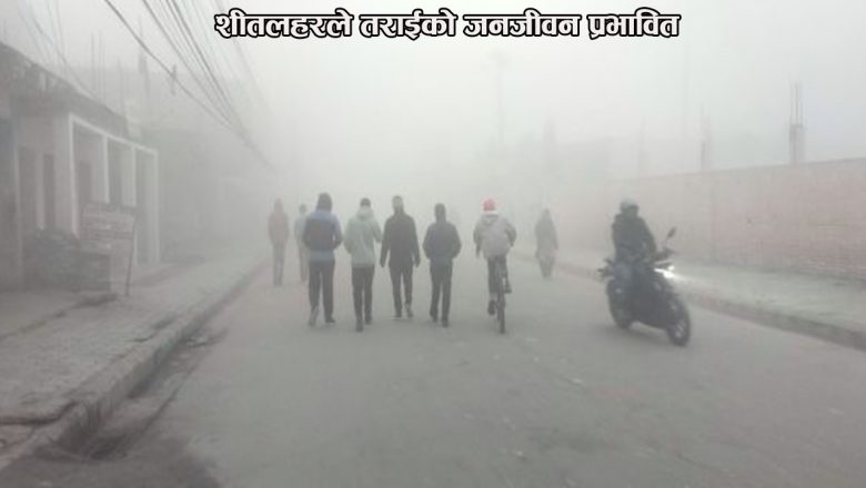 शीतलहरले तराईको जनजीवन प्रभावित