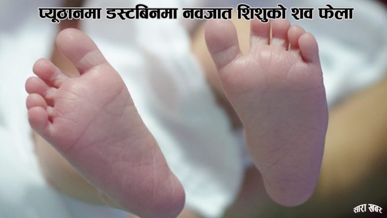 प्यूठानमा डस्टबिनमा नवजात शिशुको शव फेला