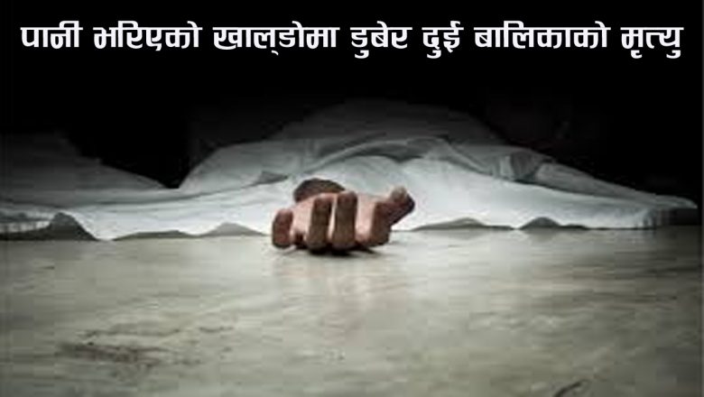 पानी भरिएको खाल्डोमा डुबेर दुई बालिकाको मृत्यु