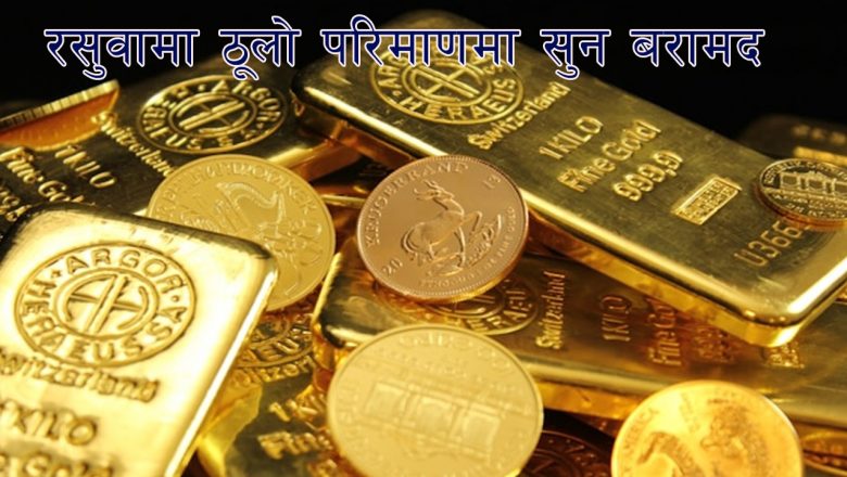 रसुवामा ठूलो परिमाणमा सुन बरामद