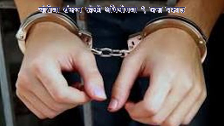 चोरीमा संलग्न रहेको अभियोगमा ९ जना पक्राउ