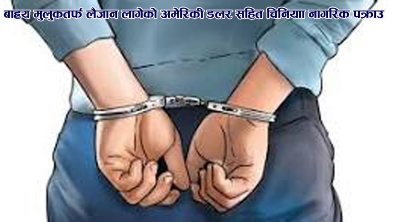 बाह्य मुलुकतर्फ लैजान लागेको अमेरिकी डलर सहित चिनियाँ नागरिक पक्राउ