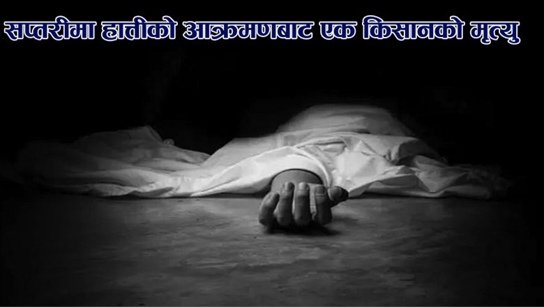 सप्तरीमा हात्तीको आक्रमणबाट एक किसानको मृत्यु