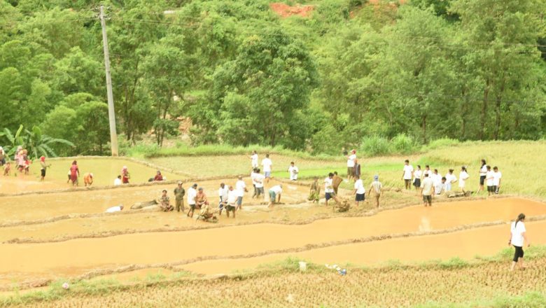 भिटोफ-नेपालले रसुवामा रोपाइँ महोत्सव गर्ने