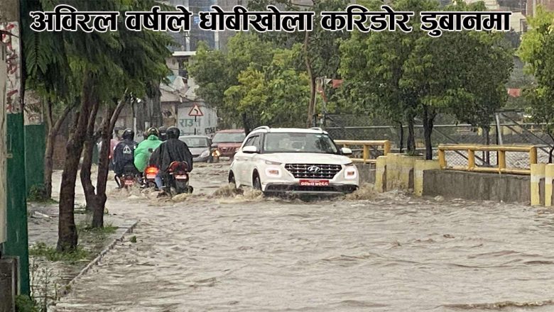 अविरल वर्षाले धोबीखोला करिडोर डुबानमा
