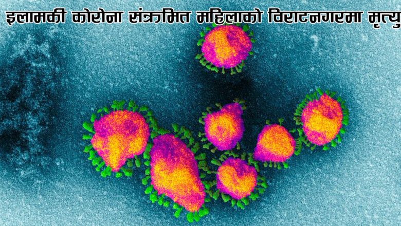 इलामकी कोरोना संक्रमित महिलाको विराटनगरमा मृत्यु