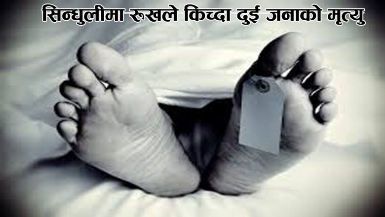 सिन्धुलीमा रूखले किच्दा दुई जनाको मृत्यु