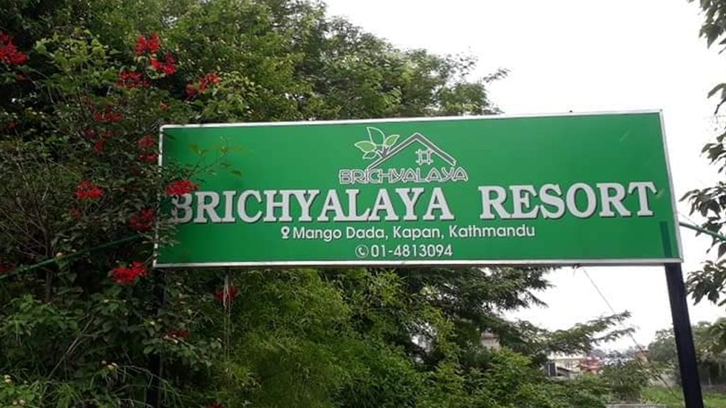 काठमाडौंको भीडभाडमा गाउँको मिठास खोज्नेहरूको रोजाइ बन्दै वृक्षालय रिसोर्ट — जहाँ पेट मात्र होइन, मन पनि भरिन्छ