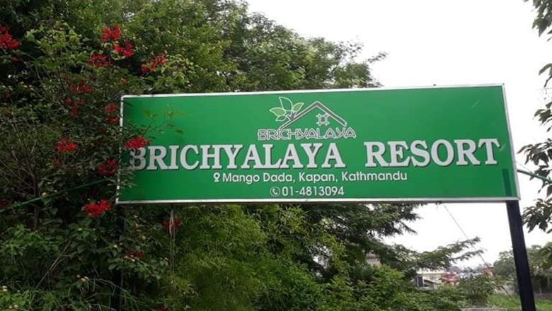 काठमाडौंको भीडभाडमा गाउँको मिठास खोज्नेहरूको रोजाइ बन्दै वृक्षालय रिसोर्ट — जहाँ पेट मात्र होइन, मन पनि भरिन्छ